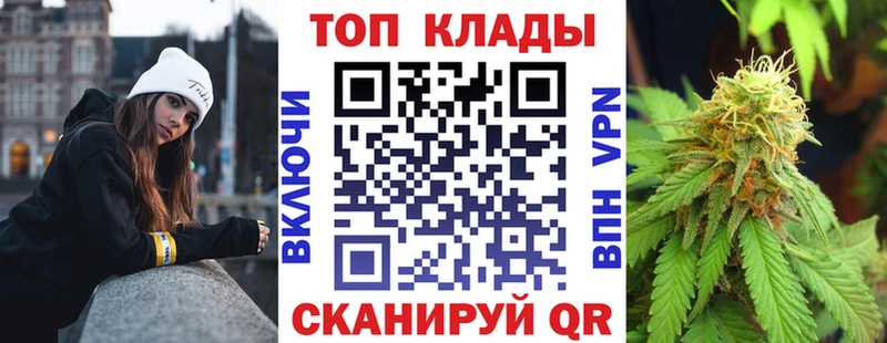 APVP Волгореченск
