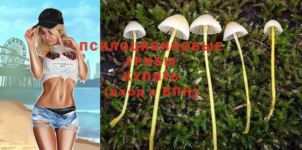 винт Касимов