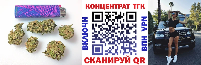 Купить где  Волгореченск  ТГК концентрат 