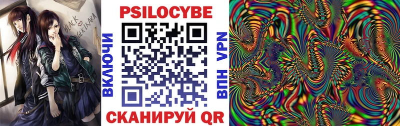 Псилоцибиновые грибы Psilocybe  Купить  Волгореченск 